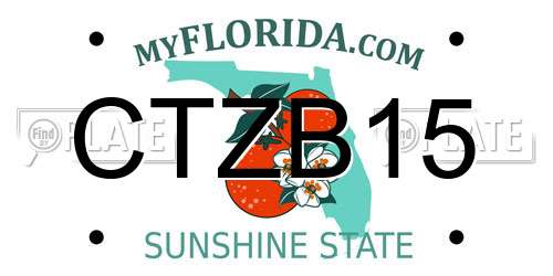 CTZB15 Florida License Plate