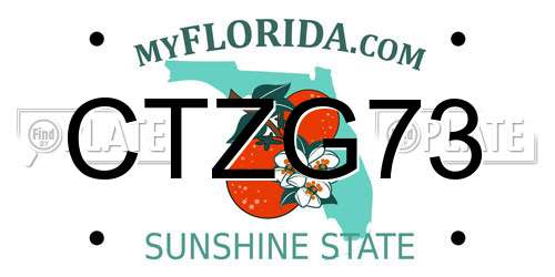 CTZG73 Florida License Plate
