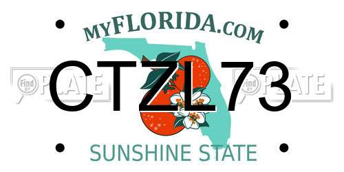 CTZL73 Florida License Plate