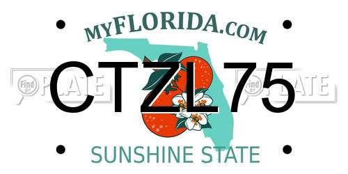 CTZL75 Florida License Plate