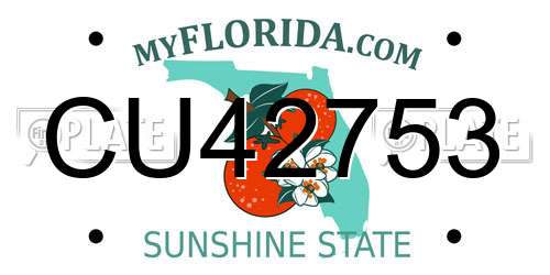 CU42753 Florida License Plate