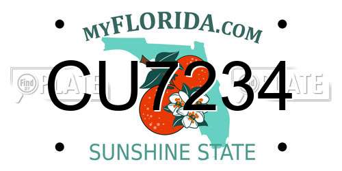 CU7234 Florida License Plate