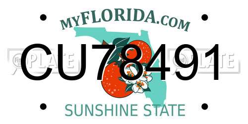 CU78491 Florida License Plate