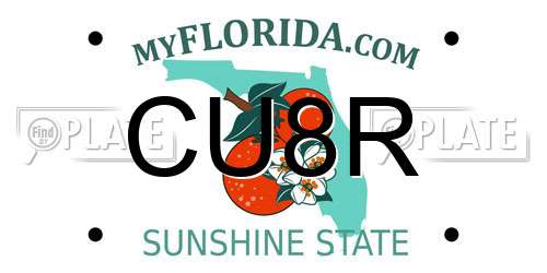 CU8R Florida License Plate