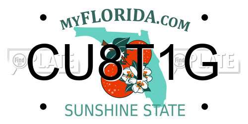 CU8T1G Florida License Plate