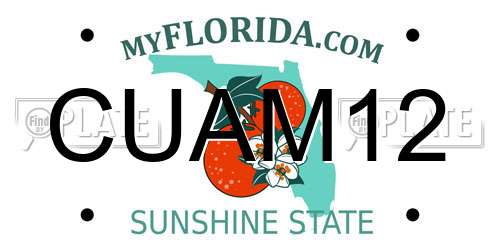 CUAM12 Florida License Plate