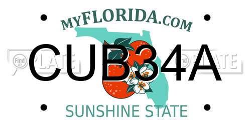 CUB34A Florida License Plate