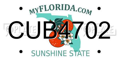 CUB4702 Florida License Plate