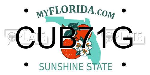 CUB71G Florida License Plate