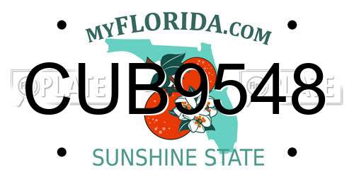 CUB9548 Florida License Plate