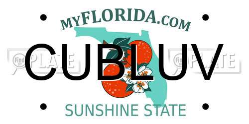 CUBLUV Florida License Plate