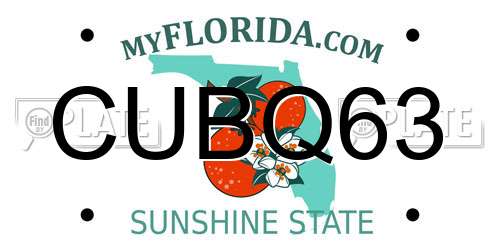 CUBQ63 Florida License Plate