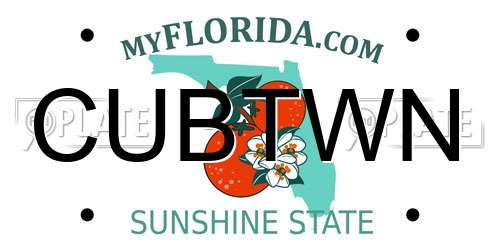 CUBTWN Florida License Plate