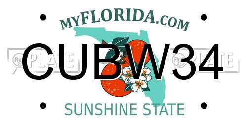 CUBW34 Florida License Plate