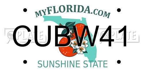 CUBW41 Florida License Plate
