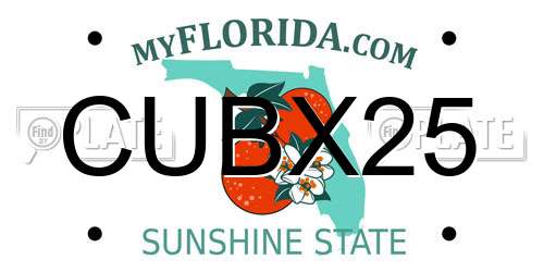 CUBX25 Florida License Plate
