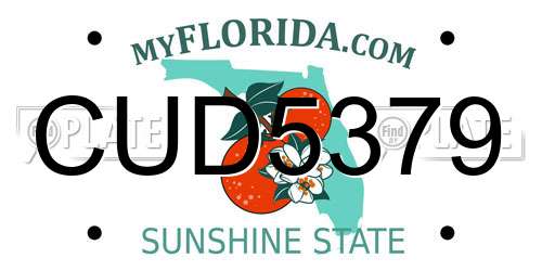 CUD5379 Florida License Plate
