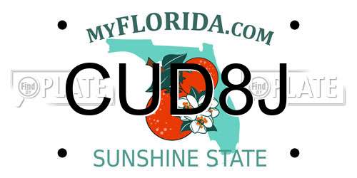 CUD8J Florida License Plate