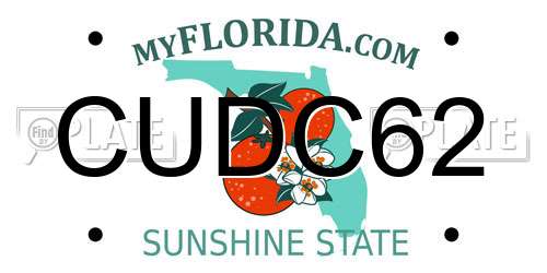 CUDC62 Florida License Plate