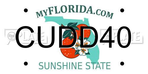 CUDD40 Florida License Plate