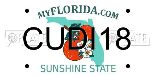 CUDI18 Florida License Plate