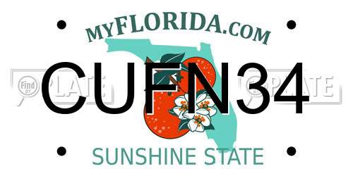 CUFN34 Florida License Plate