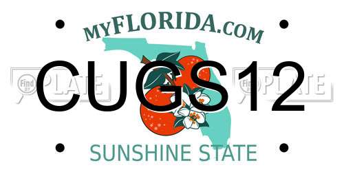 CUGS12 Florida License Plate