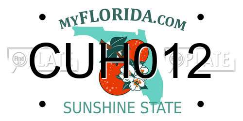 CUH012 Florida License Plate