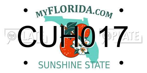 CUH017 Florida License Plate