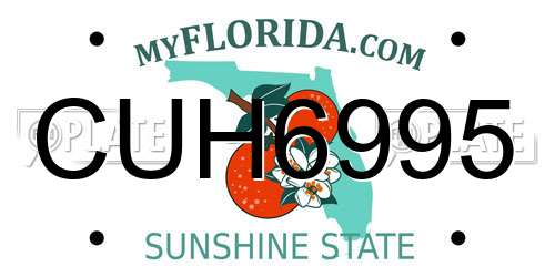 CUH6995 Florida License Plate