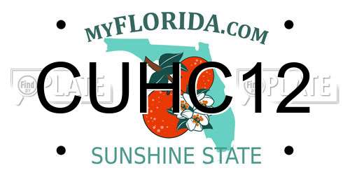 CUHC12 Florida License Plate