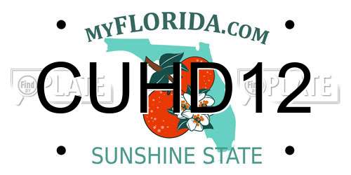 CUHD12 Florida License Plate