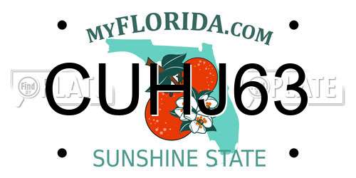 CUHJ63 Florida License Plate