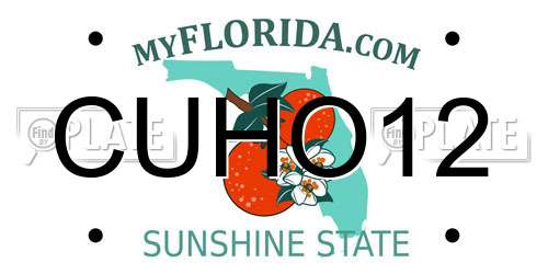 CUHO12 Florida License Plate