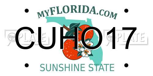 CUHO17 Florida License Plate