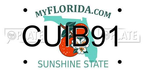CUIB91 Florida License Plate