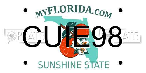 CUIE98 Florida License Plate