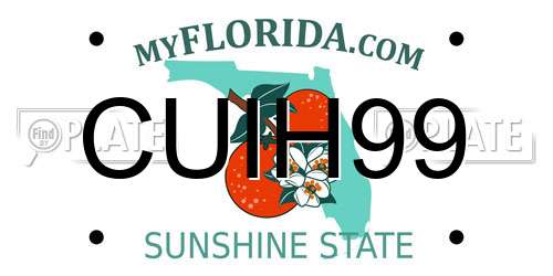 CUIH99 Florida License Plate