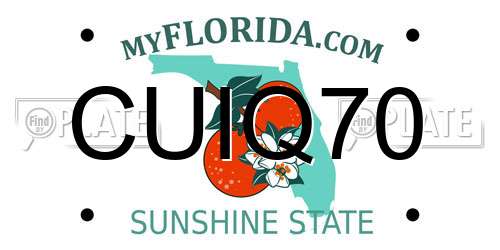 CUIQ70 Florida License Plate