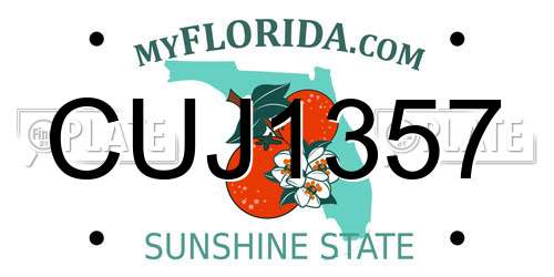 CUJ1357 Florida License Plate