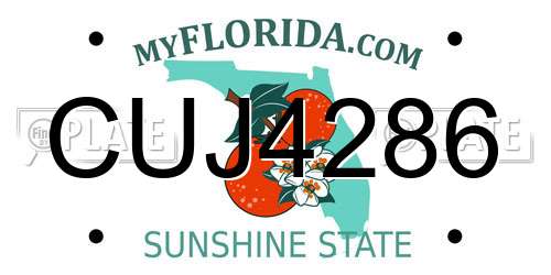 CUJ4286 Florida License Plate