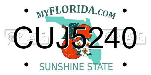 CUJ5240 Florida License Plate