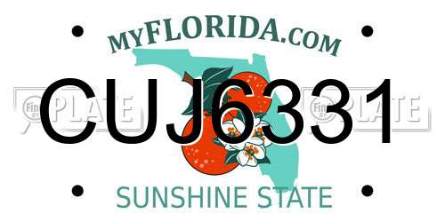 CUJ6331 Florida License Plate