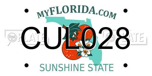 CUL028 Florida License Plate