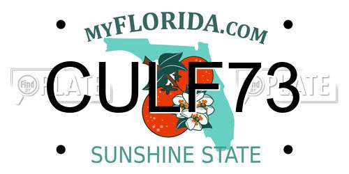 CULF73 Florida License Plate