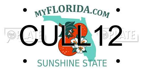 CULL12 Florida License Plate