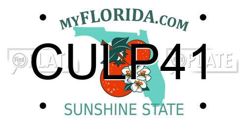 CULP41 Florida License Plate