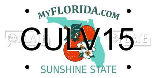 CULV15 Florida License Plate