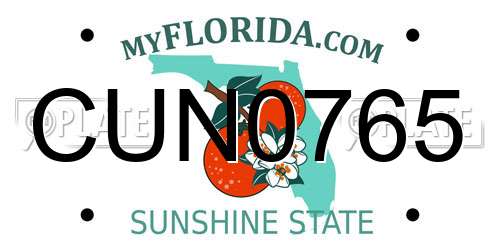 CUN0765 Florida License Plate