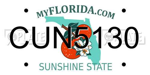 CUN5130 Florida License Plate